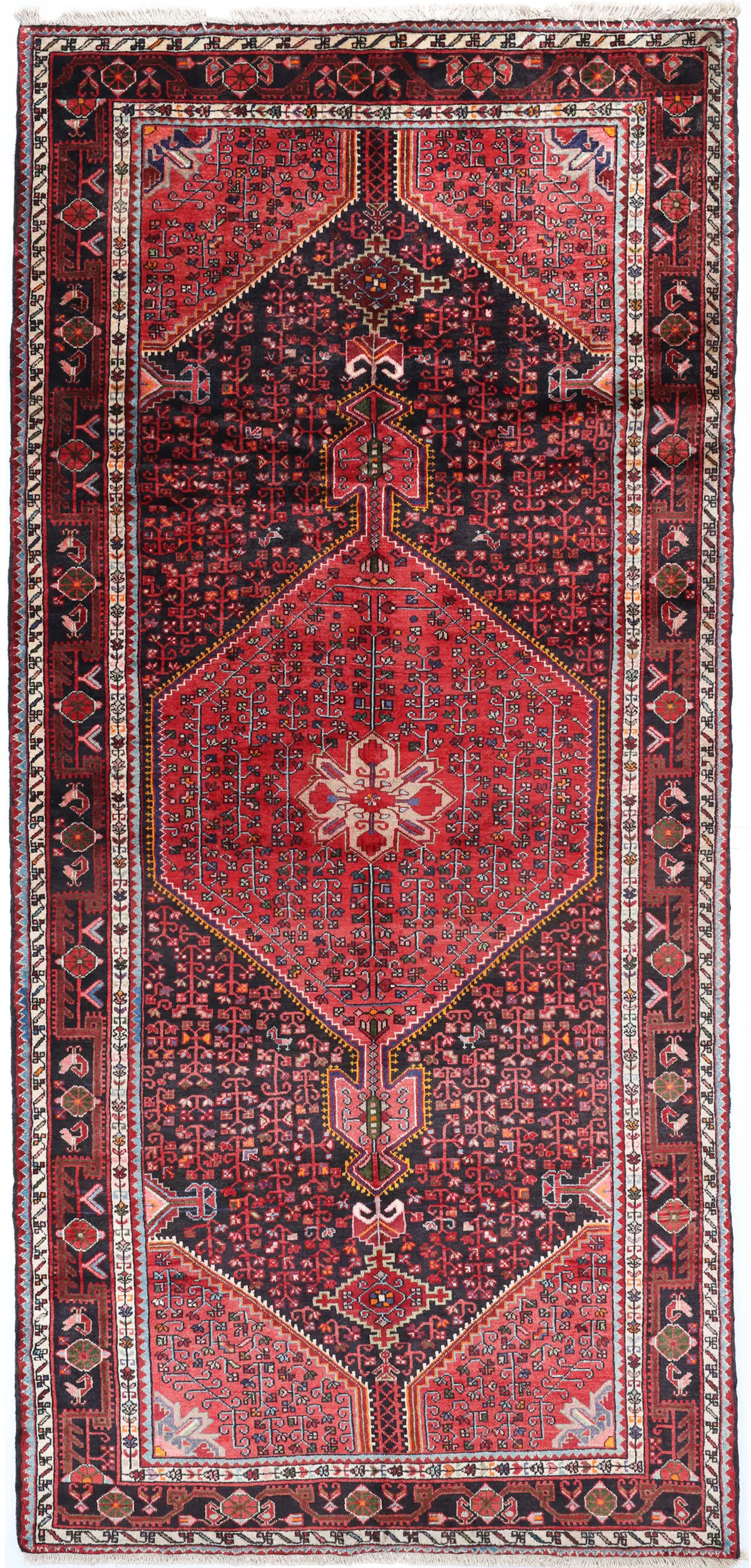 Tuserkan Persian Runner, 364 × 169 cm
