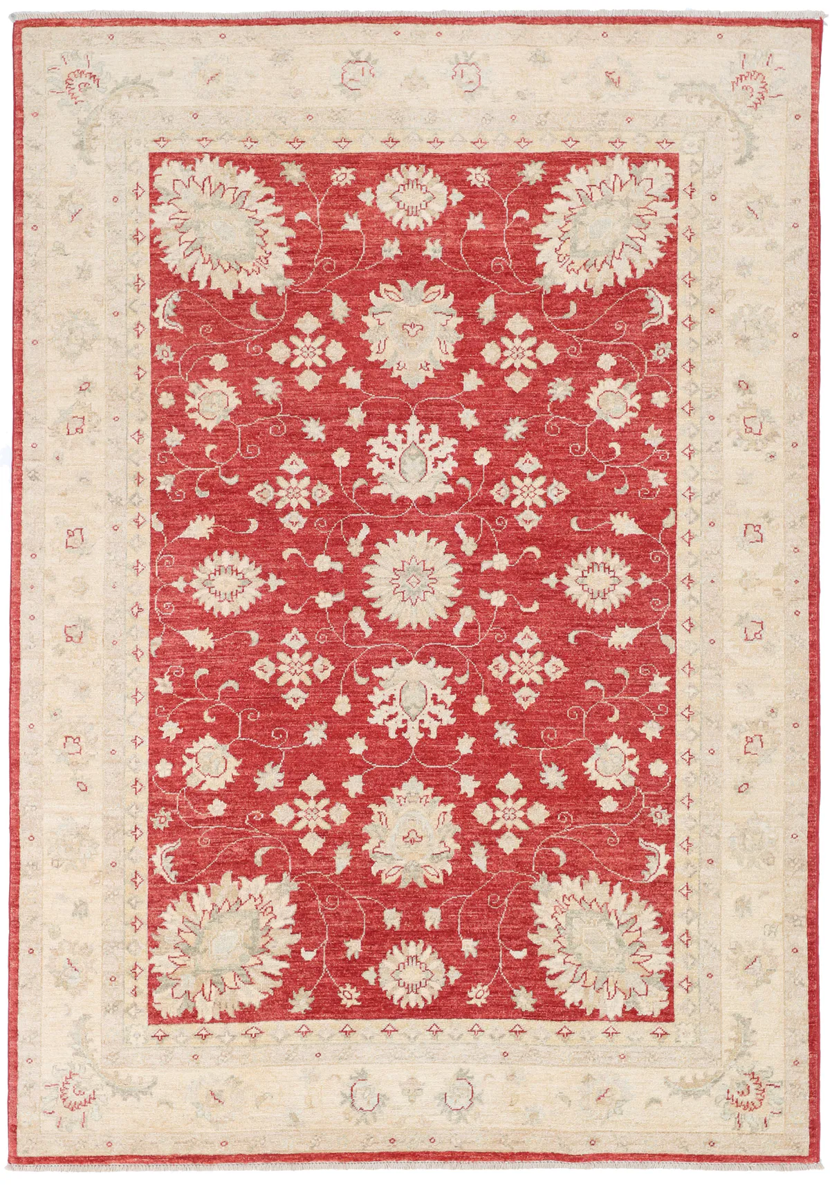 Garous Ziegler Red Rug in Beige Border, 245 × 169 cm