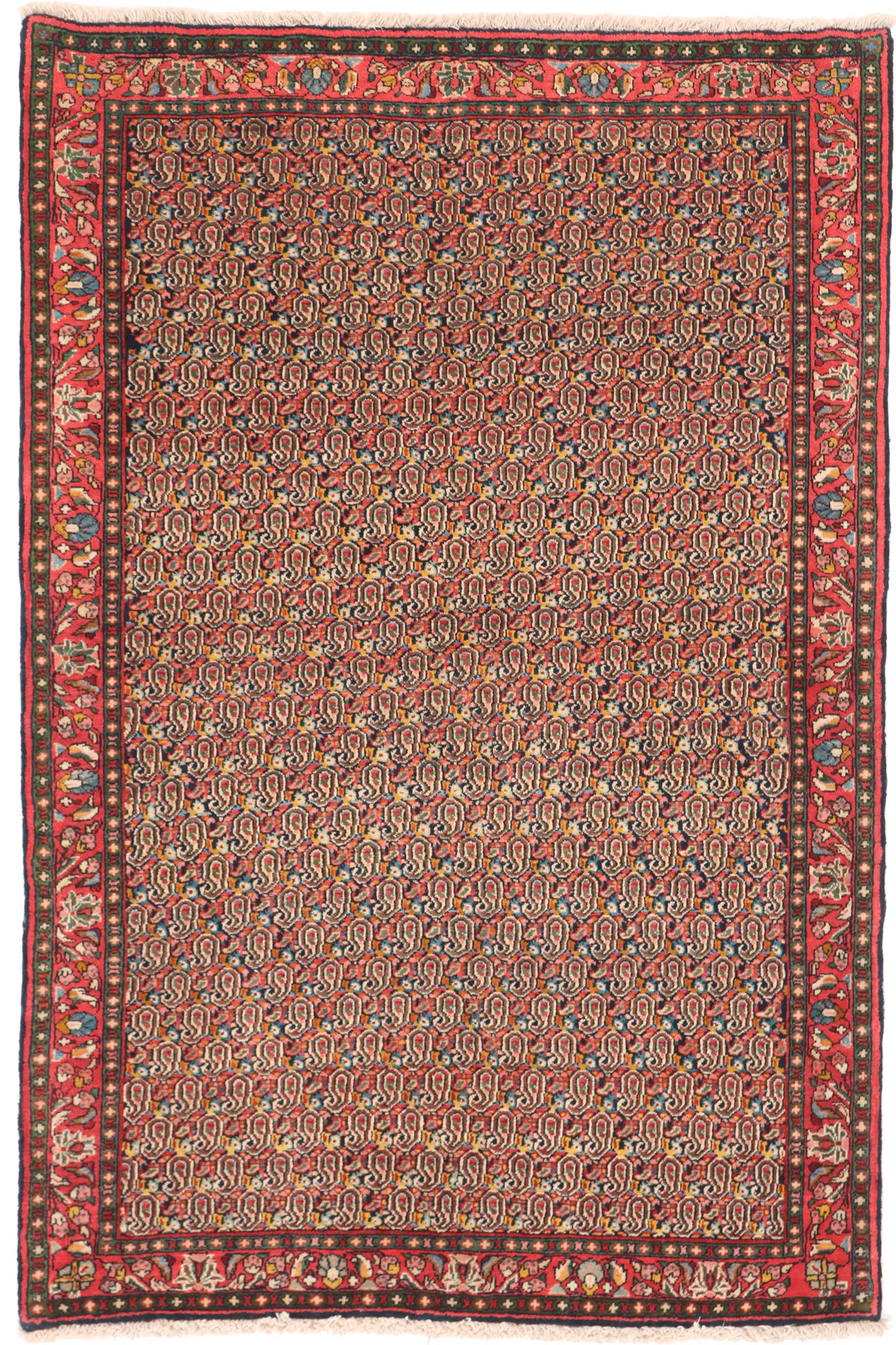 Persian Sarouk / Saruk All Over Design Rug, 152 × 103 cm