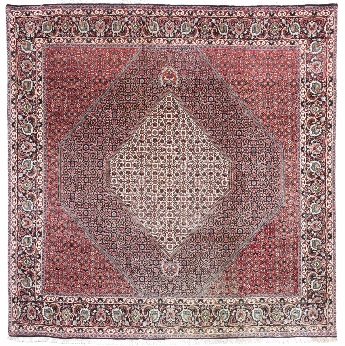 Persian Bidjar/Bijar Square Rug, 251 × 250 cm