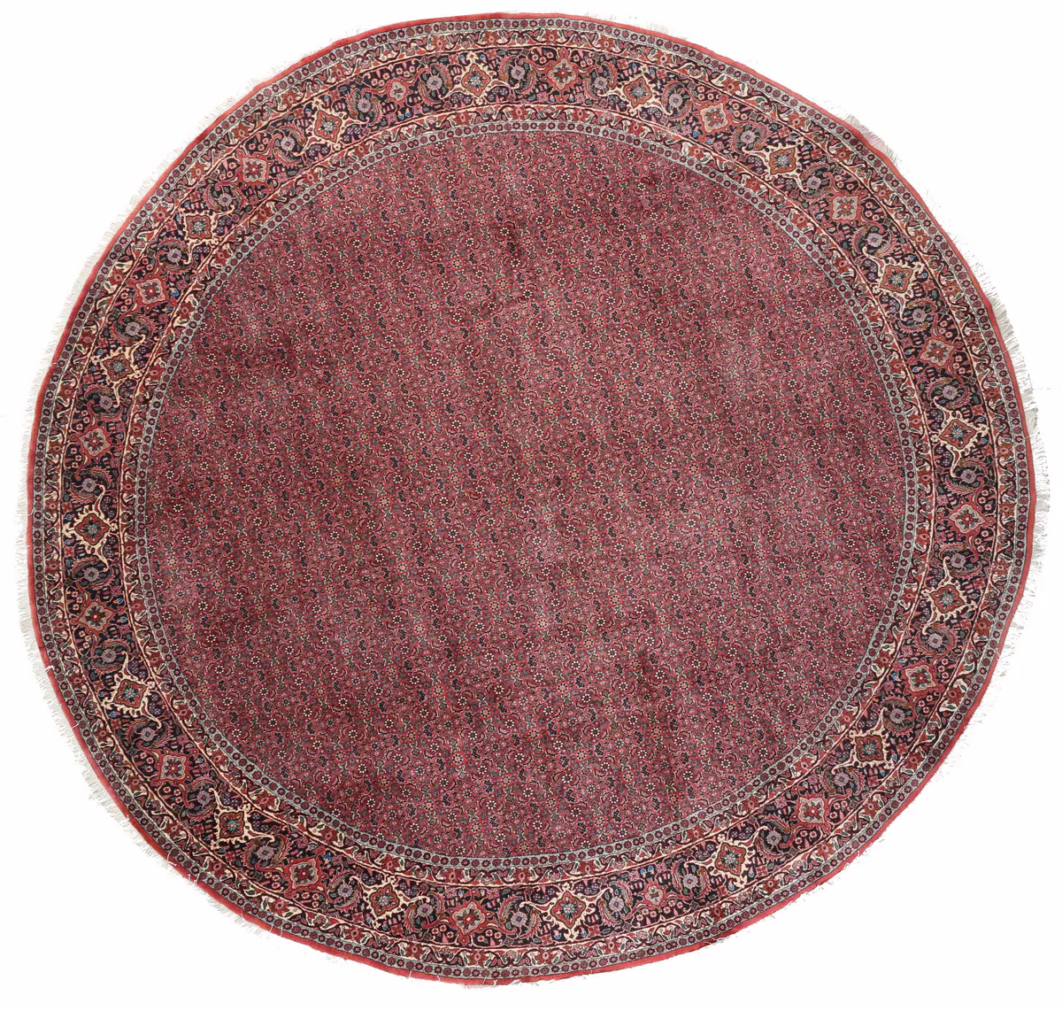 Fine Bidjar/Bijar Circular Rug – 10'4 x 10, 318 × 306 cm