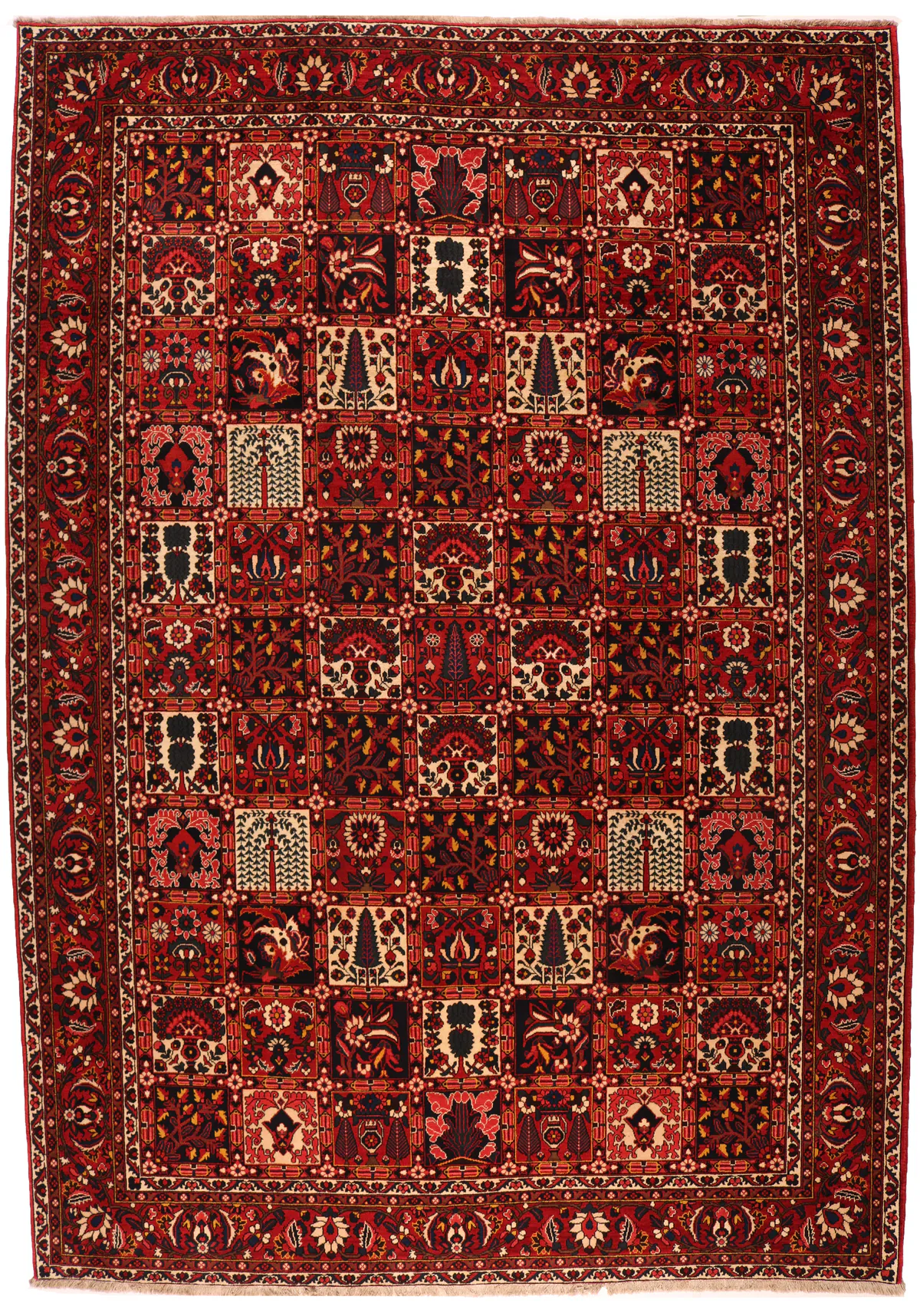 Chaleshotor, 368 × 275 cm