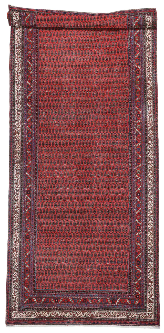 Malayer Design Rug circa 1910, 580 × 237 cm