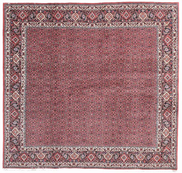 Fine Bidjar/Bijar Rug, 254 × 239 cm