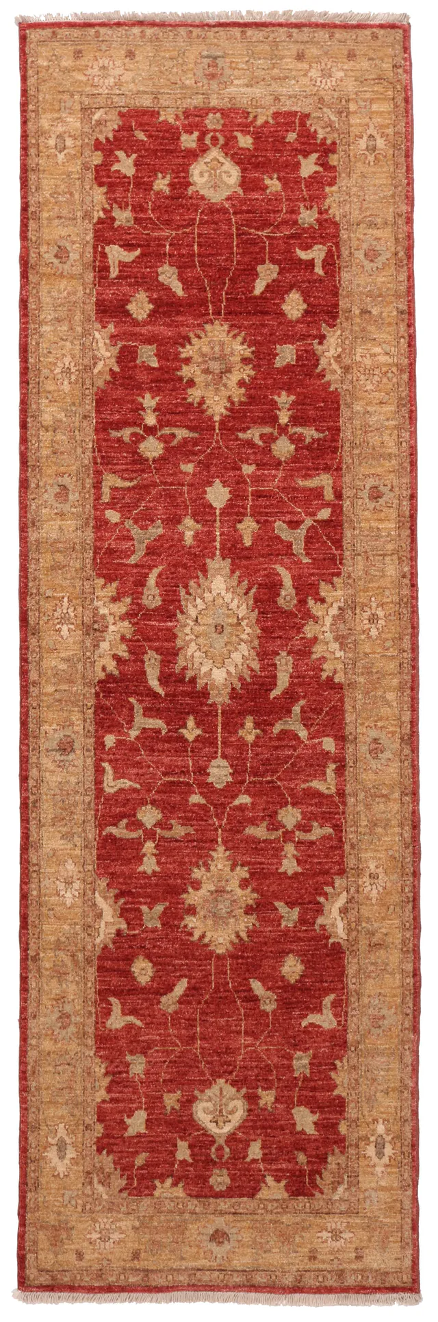 Garous / Ziegler Design Runner – Red, 259 × 79 cm